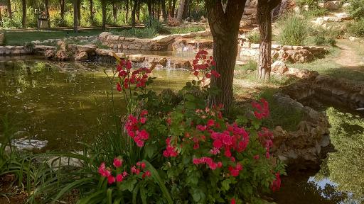 عکس پارک ملت بروجن