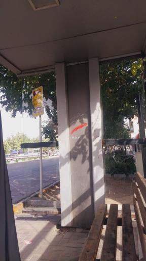 عکس  شهید شیرودی 25