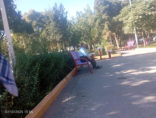 عکس بوستان بنفشه