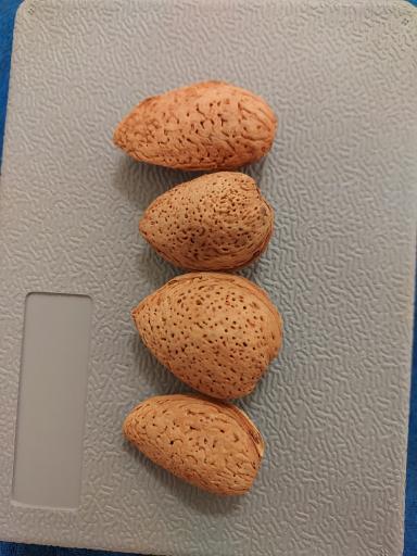 عکس محصولات محلی خان دایی