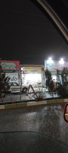 عکس پخش دانه پرندگان مصیب