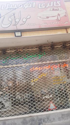 عکس گالری اتومبیل مولوی