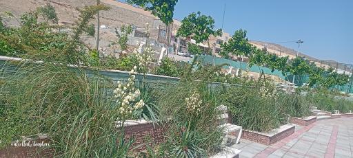 عکس پارک عزیزی