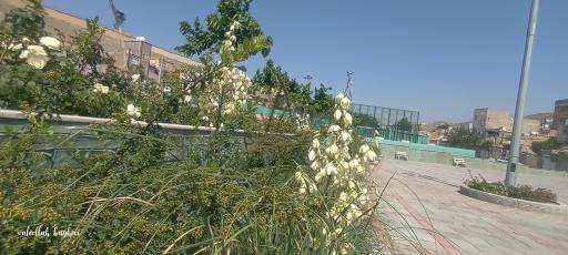 عکس پارک عزیزی