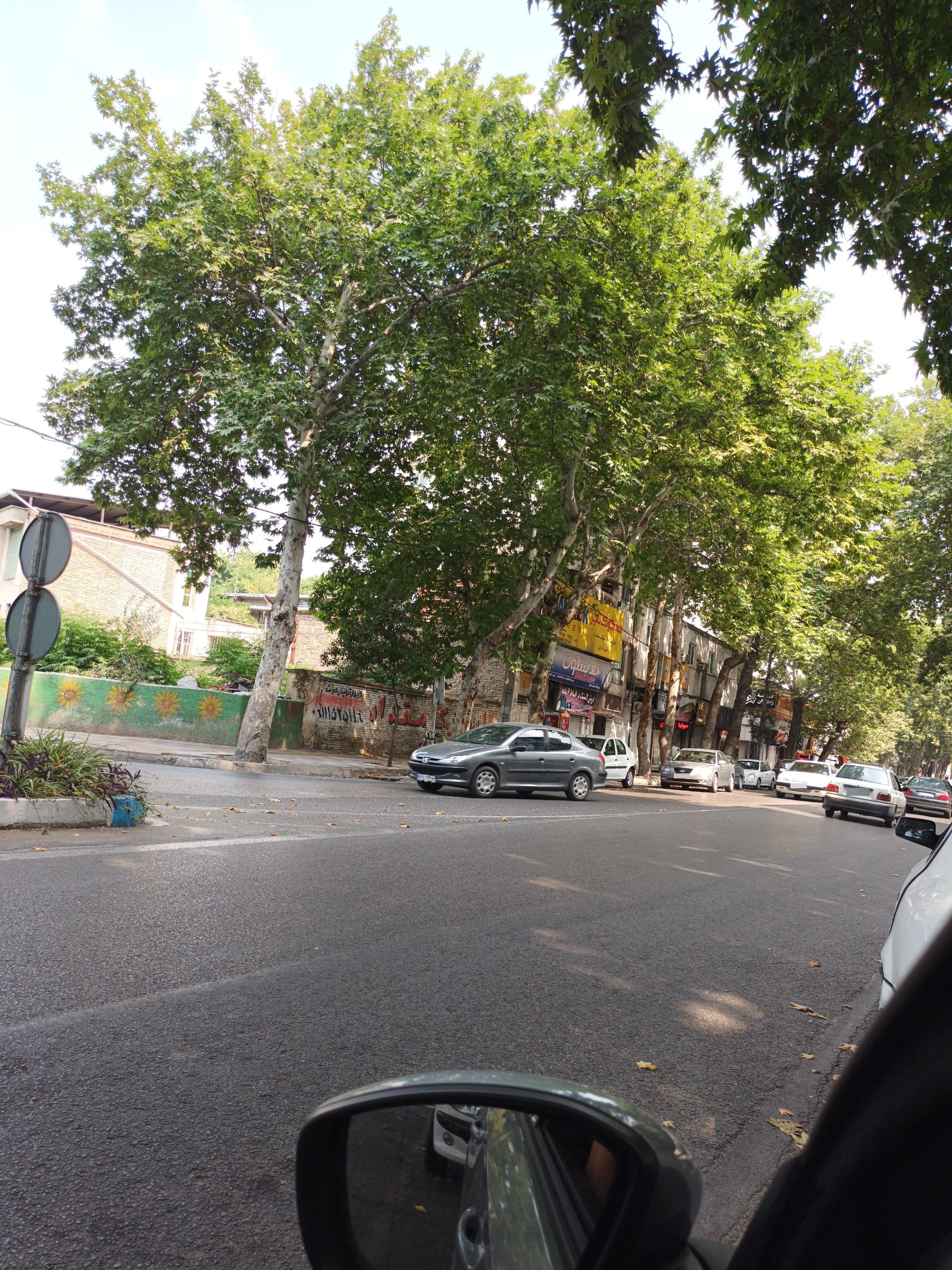 عکس بازرگانی تایر سیفی