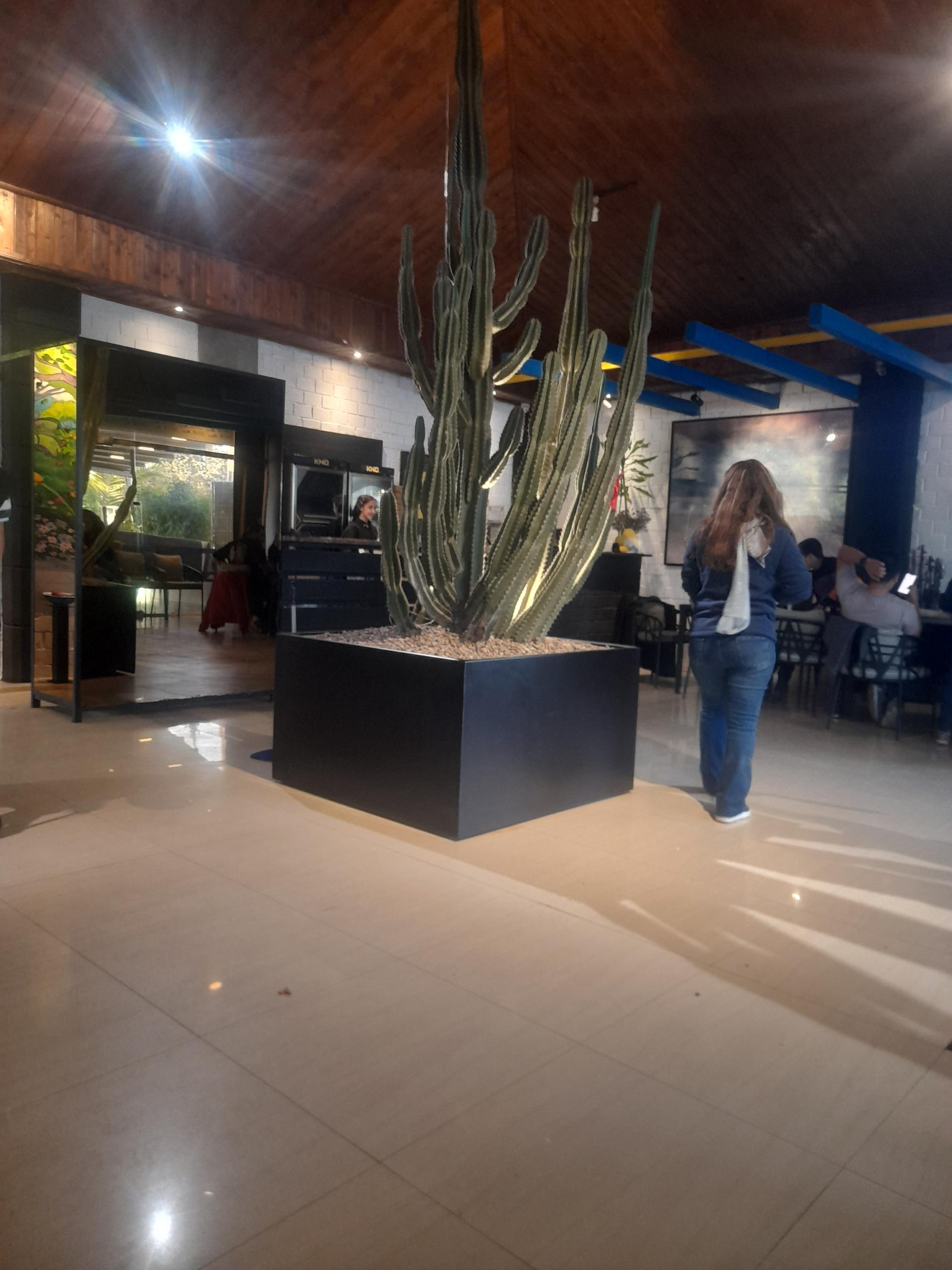 عکس رستوران ناردون