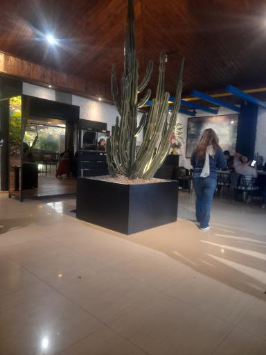 عکس رستوران ناردون