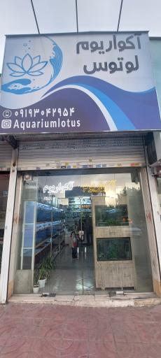 عکس آکواریوم لوتوس