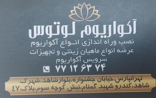 عکس آکواریوم لوتوس