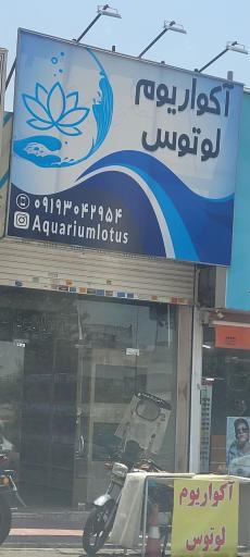 عکس آکواریوم لوتوس