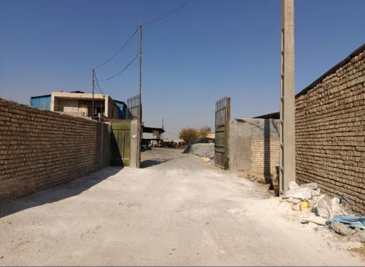 عکس گاوداری شیخان 