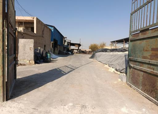 عکس گاوداری شیخان 