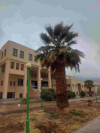 عکس دانشگاه صنعتی اصفهان