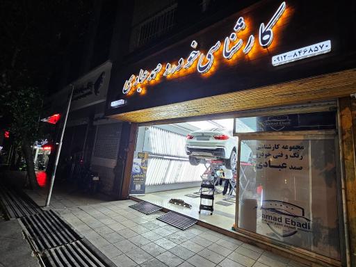 عکس کارشناسی فنی و تشخیص رنگ خودرو عبادی