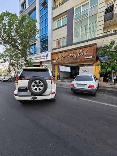 عکس کارشناسی فنی و تشخیص رنگ خودرو عبادی