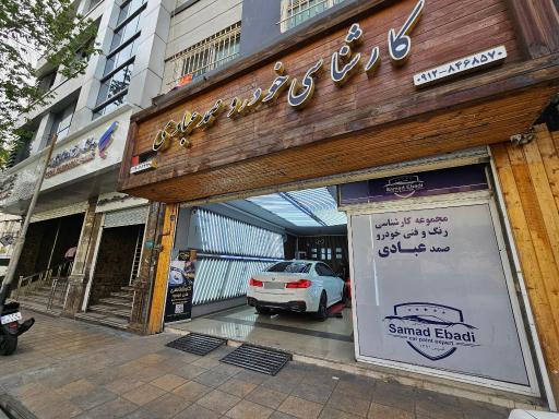عکس کارشناسی فنی و تشخیص رنگ خودرو عبادی