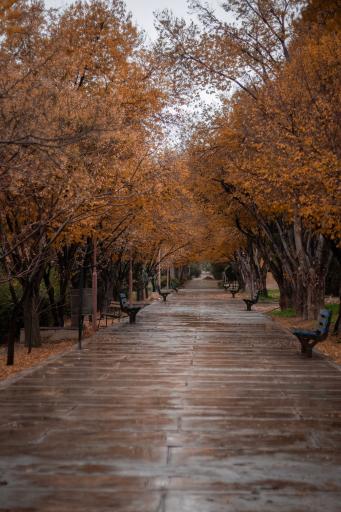 عکس دانشگاه صنعتی اصفهان