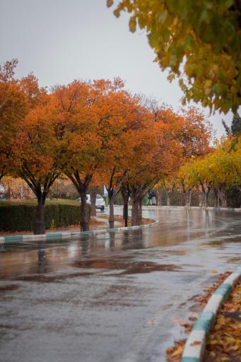 عکس دانشگاه صنعتی اصفهان
