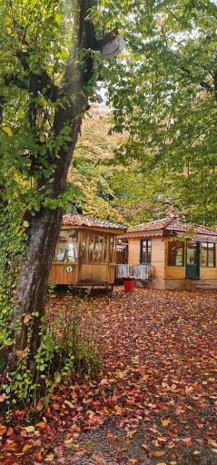 عکس کافه رستوران هیرکانی 