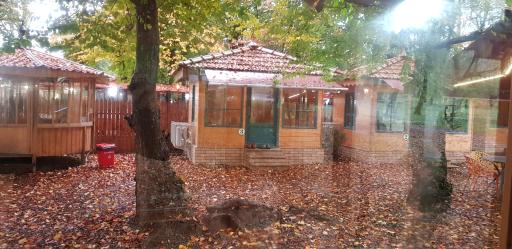 عکس کافه رستوران هیرکانی 