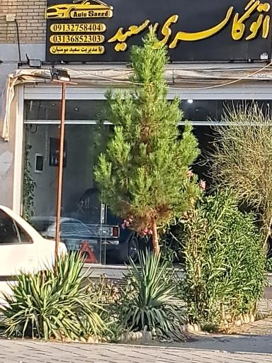 عکس اتوگالری سعید