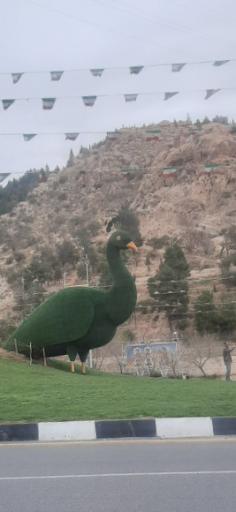 عکس میدان قرآن