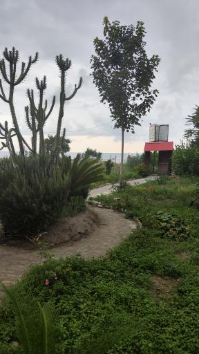 عکس رستوران ستاره سو