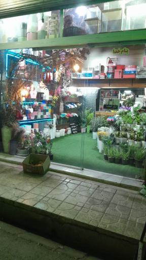 عکس گلفروشی دلارز