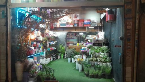 عکس گلفروشی دلارز