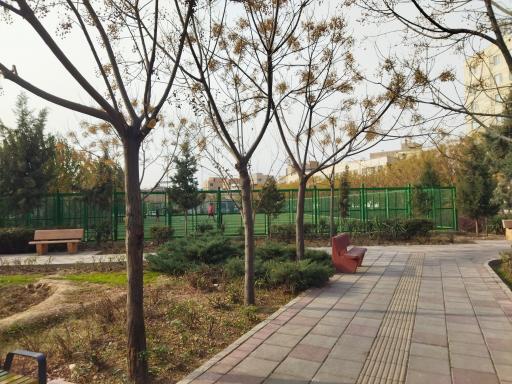 عکس بوستان ام البنین