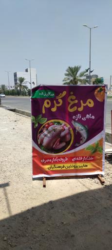 عکس پروتئین فرهنگیان 