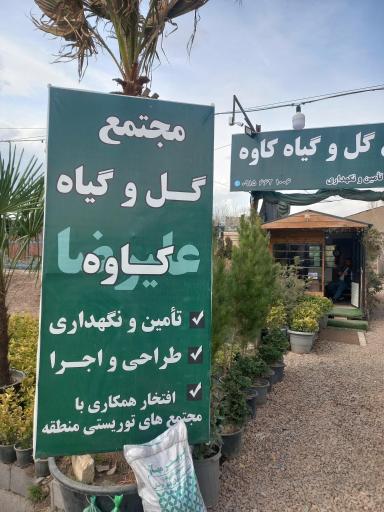 عکس گل و گیاه کاوه