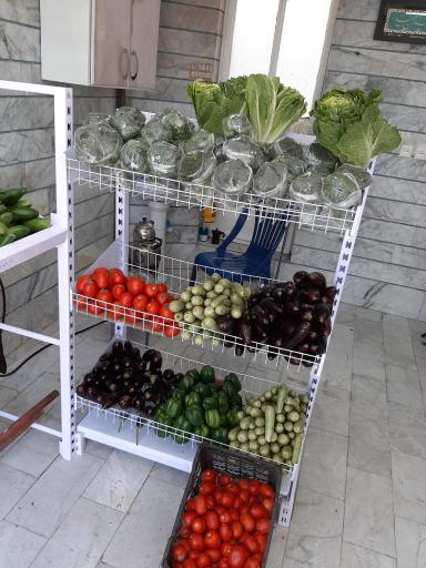 عکس هایپر میوه پرسپولیس