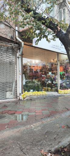 عکس گلفروشی کاملیا