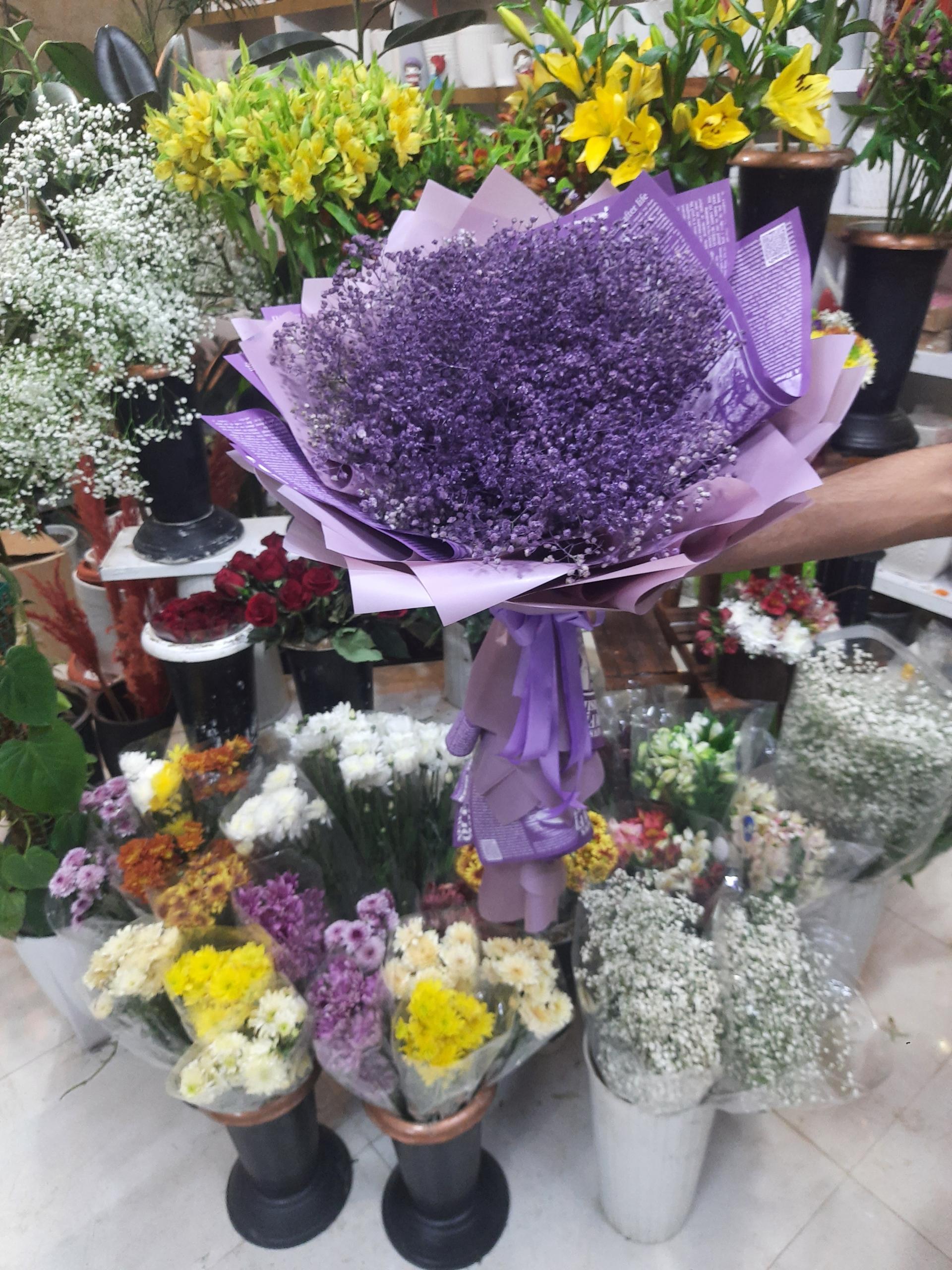 عکس گلفروشی طبیعی