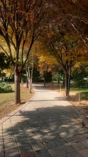 عکس پارک شهید دوران