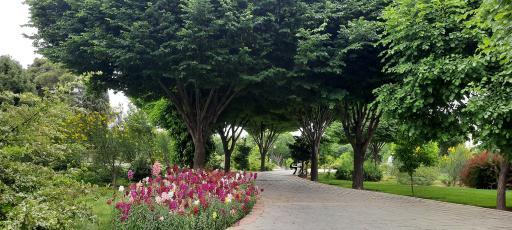 عکس پارک شهید دوران