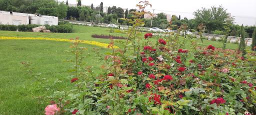 عکس پارک شهید دوران