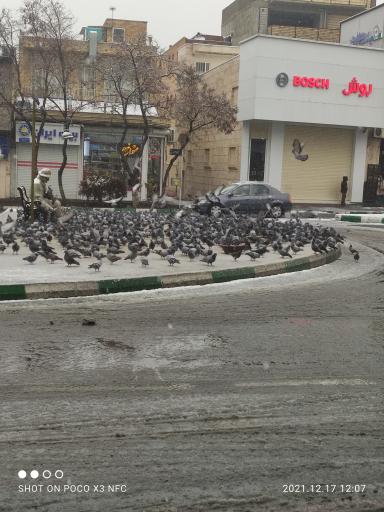 عکس کبوترخانه