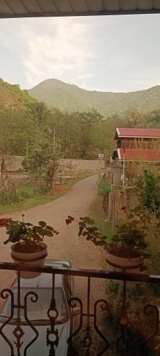 عکس اقامتگاه چوبی نسا