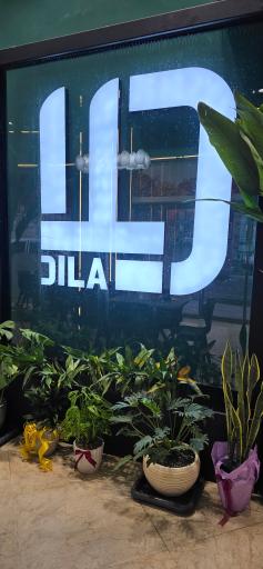 عکس  فست فود دیلا 