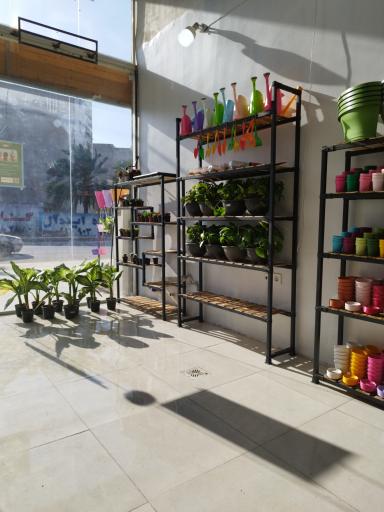 عکس گل کده بهاران