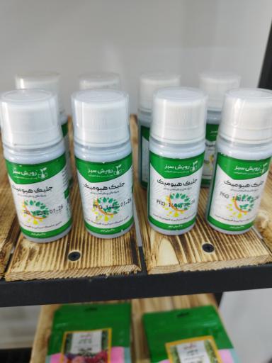 گل کده بهاران