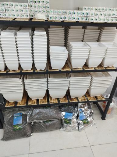 گل کده بهاران