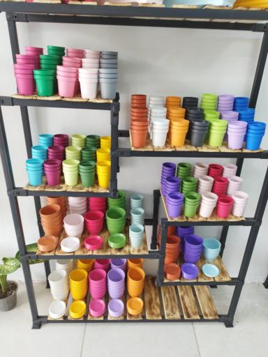 عکس گل کده بهاران