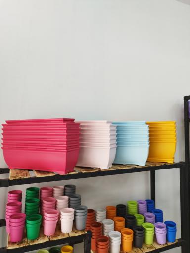 عکس گل کده بهاران