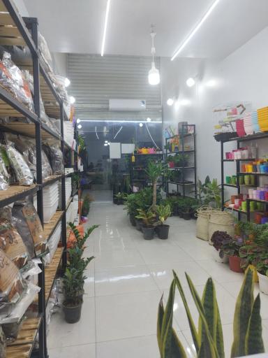 عکس گل کده بهاران