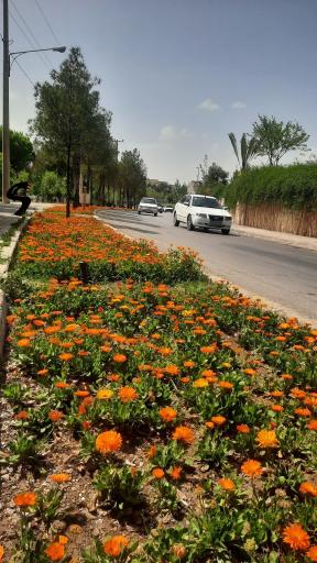 عکس پارک شهید دوران