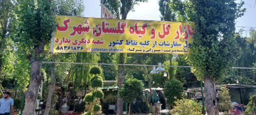 عکس بازار گل و گیاه گلستان شهرک