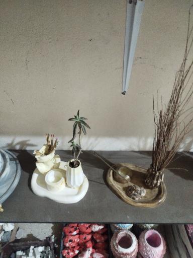 عکس نانو گیپسون